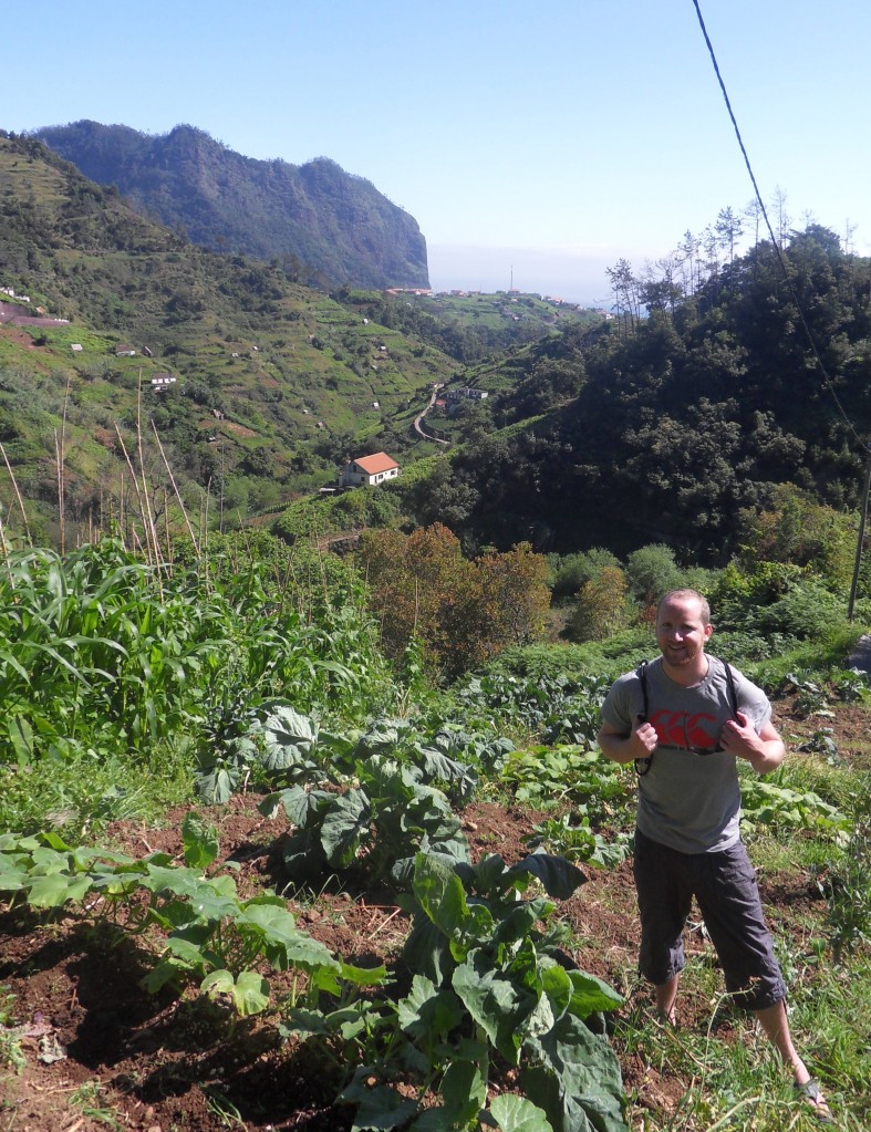 Thom Breathnach Madeira