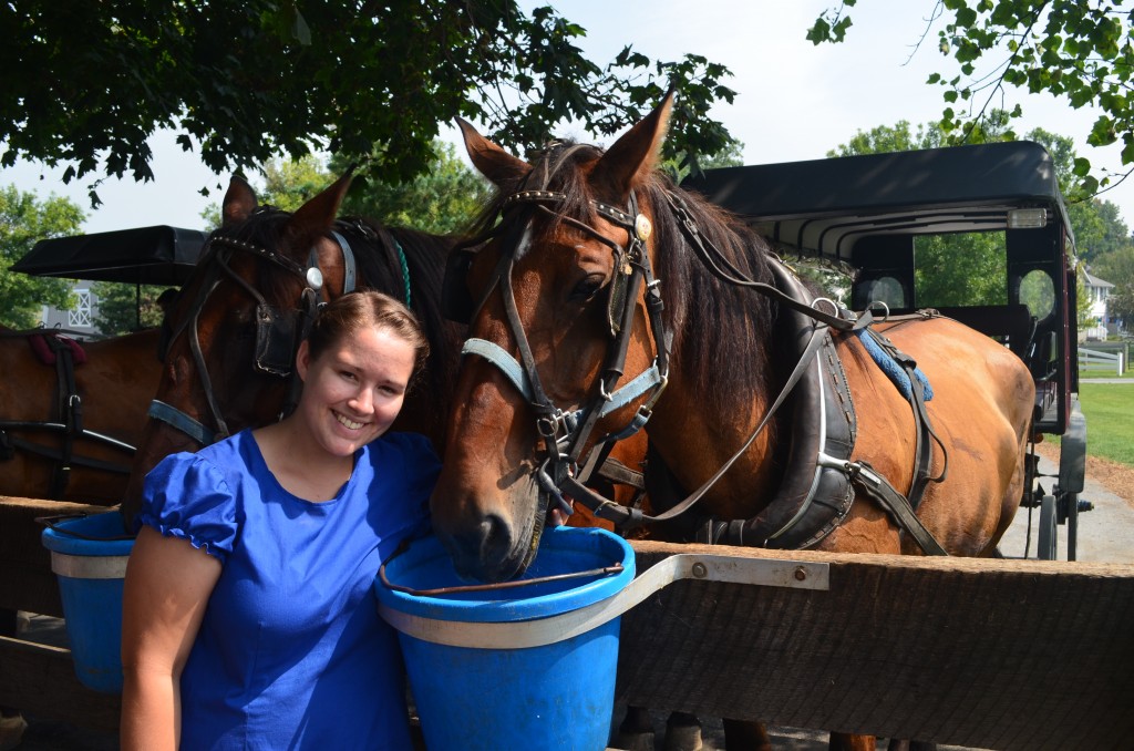 Miriam and horses