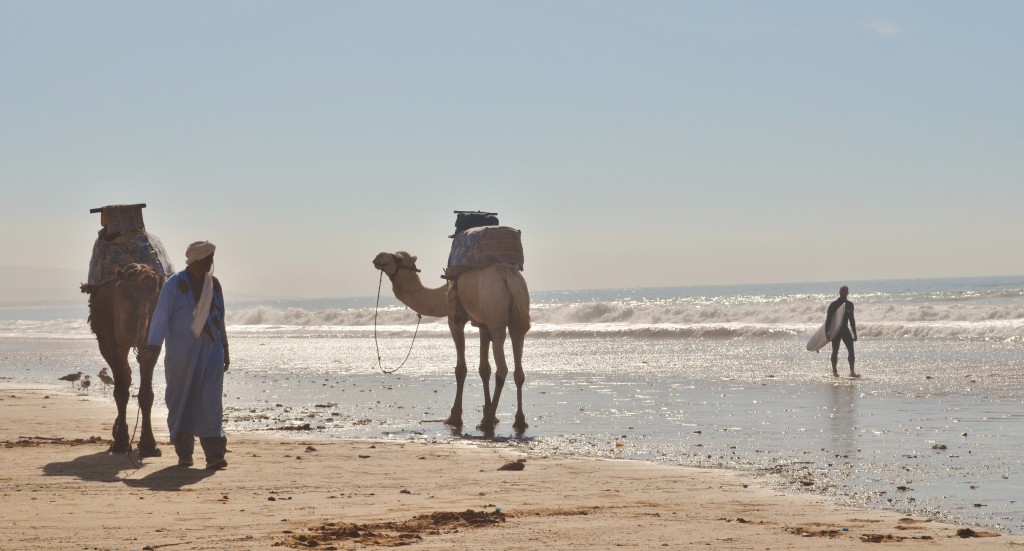 Taghazout, Morocco, surfing