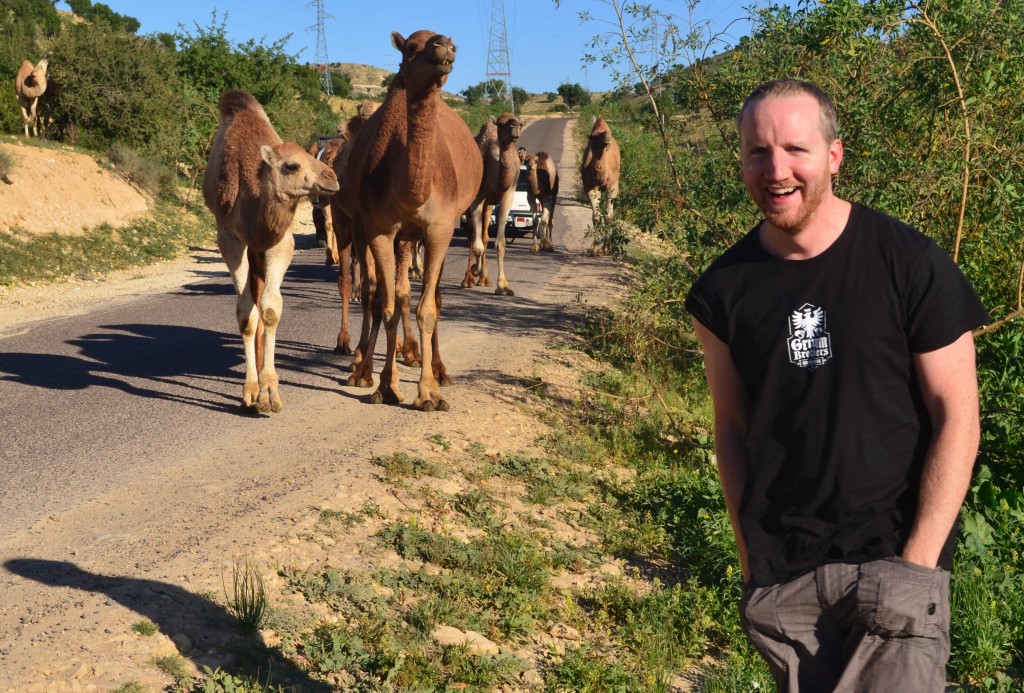 Thomas Breathnach, camels, Agadir