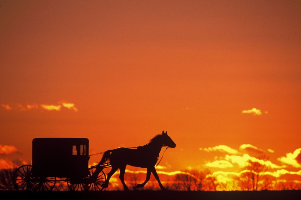 Amish buggy silhouette - courtesy PA Dutch Country tourism