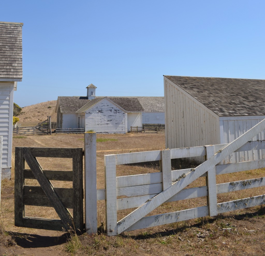 Ghost ranch - Point Reyes