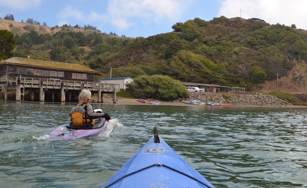 Russian River kayaking (Suki)